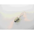Lamp Bulb 22039.00