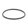 Cap O-ring for Craftsman 351183050 - Part 6051.00