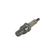 Spark Plug for Porter Cable CTE300-1 - Part RN4C