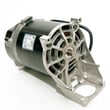 Motor for Craftsman 919167361 - Part Z-D21681