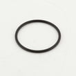 O-ring SC04373.00