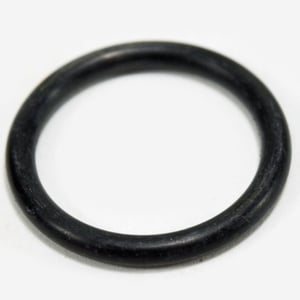 Nailer O-ring, 22.4 X 3.1-mm SC04436.00