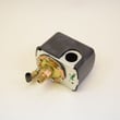 Air Compressor Pressure Switch And Manual Shut-off 49S159