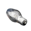 Lamp Bulb 283147