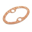Gasket CA099895
