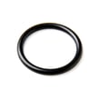 O-ring 8900951