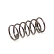 Craftsman Spring for Craftsman 875199800 - Part 9106279