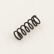 Valve Spring 9106465