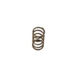 Valve Spring 962022