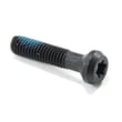 Power Tool Screw 149518-01