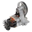 Craftsman Air Compressor Pump Assembly for Craftsman CMEC6150 - Part N087118SV