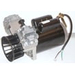 Pump Assembly for Craftsman 919165611 - Part Z-D24960