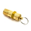Safety Valve for Craftsman 921166370 - Part E100094
