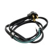 Input Cord 9SS13699-2