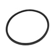 Sealing Ring 09902