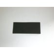 Vacuum Secondary Filter 4368671