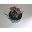 Vacuum Motor 4369338