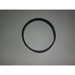 Vacuum Drive Belt 4369591