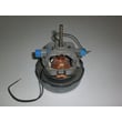 Motor for Kenmore 11631189100 - Part 4370270
