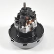 Motor for Bissell 88051 - Part 0175972