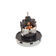 Motor 1601038