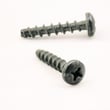 Vacuum Screw