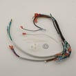 Wiring Kit for Hoover FH50240 SERIES B - Part 440001377