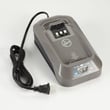 Vacuum Battery Charger
