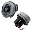Vacuum Motor for Hoover H30010RM - Part 59177074