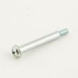 Vacuum Handle Screw 620893001