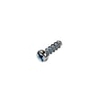 Vacuum Screw 660021002