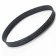Vacuum Beater Bar Belt 1JZ0900000