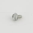 Floor Scrubber Screw 01-0154-3