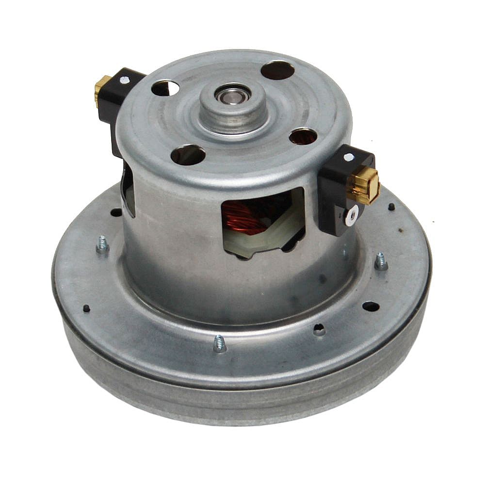 Vacuum Motor