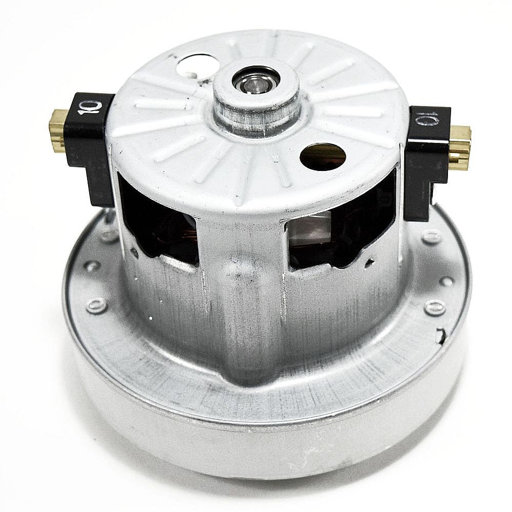 Vacuum Motor