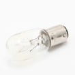 Vacuum Light Bulb 48815