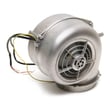 Range Hood Blower Assembly B06001991