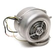 Range Hood Blower Assembly (replaces B06001991)