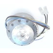 Range Hood Blower Motor V01766