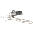 Igniter 5303935066