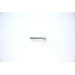 Range Screw WB01T10066