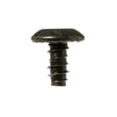 Screw St4.2x WC01X20047