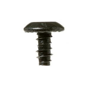 Screw St4.2x WC01X20047