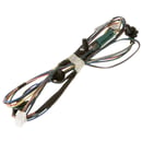 Dishwasher Wire Harness WD21X10545