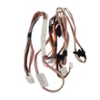 Dishwasher Wire Harness WD21X23416