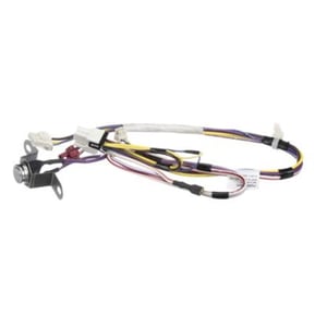 Dishwasher Wire Harness And Thermal Fuse (replaces Wd21x24386) WD21X24939