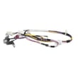 Dishwasher Wire Harness And Thermal Fuse WD21X24939