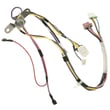 Dishwasher Wire Harness And Thermal Fuse WD21X24940