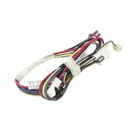 Dishwasher Wire Harness And Thermal Fuse WD21X25082