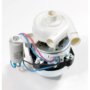 Dishwasher Pump And Motor Assembly WD26X10020